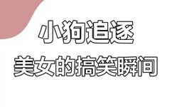 像素激光多少钱一次